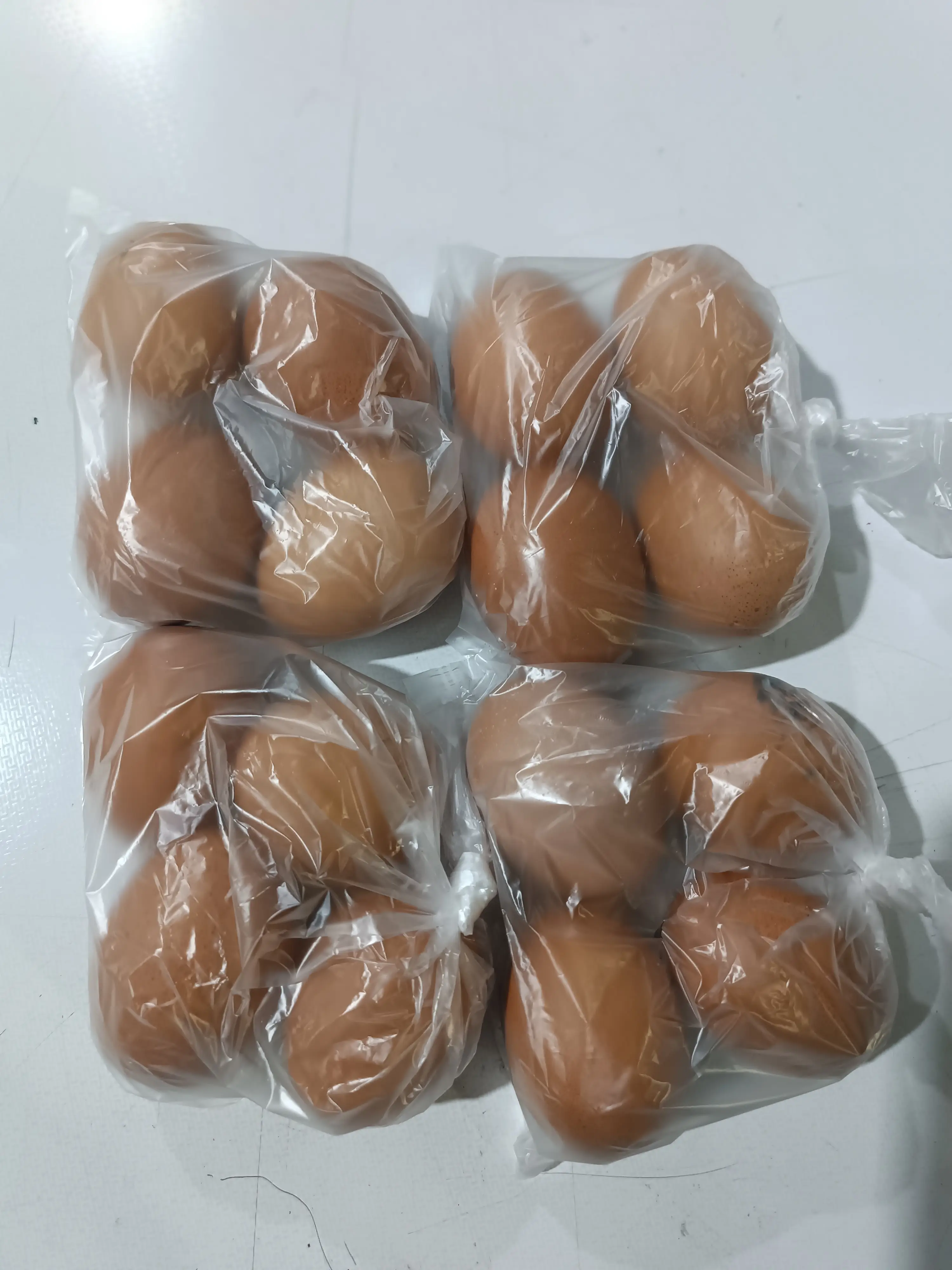 Telur Ayam
